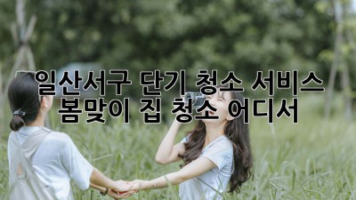 일산서구 단기 청소 서비스: 봄맞이 집 청소 어디서?